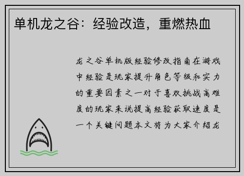 单机龙之谷：经验改造，重燃热血